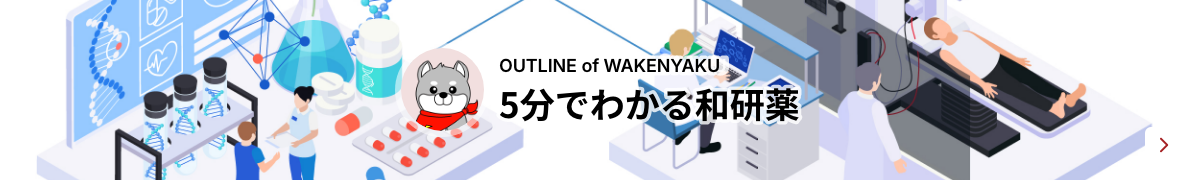OUTLINE OF WAKENYAKU 5分でわかる和研薬