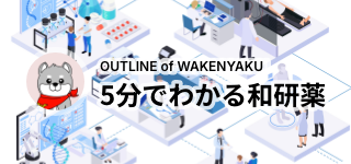 OUTLINE OF WAKENYAKU 5分でわかる和研薬