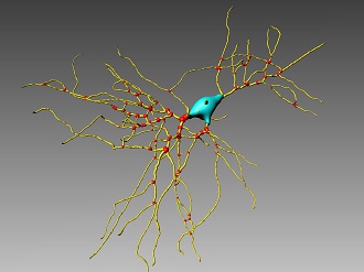 高精細3d 4d画像解析ソフトウェア Imaris 和研薬株式会社 機器オンライン Wakenyaku Co Ltd Laboratory Equipments Online
