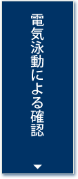 電気泳動による確認