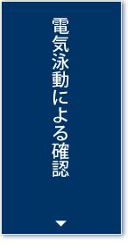 電気泳動による確認