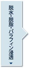 脱水・脱脂・パラフィン浸透