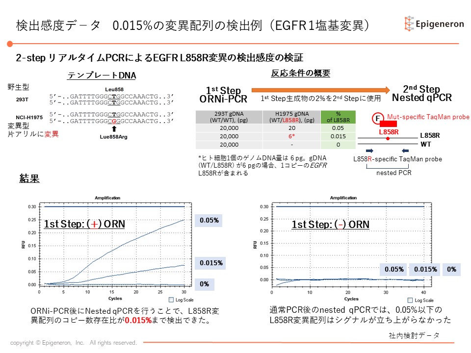 Orni Pcr カスタムデザインサービス 和研薬株式会社 受託オンライン Wakenyaku Co Ltd Commissioned Research Online